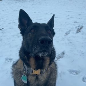 Meet your Posher, Austin